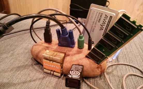 Potato with server components stuck in it.
